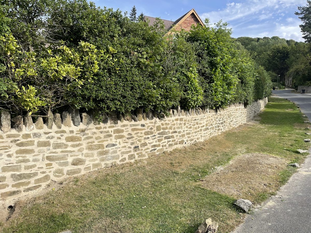 The rebuilt 40m stone wall with its coping stones