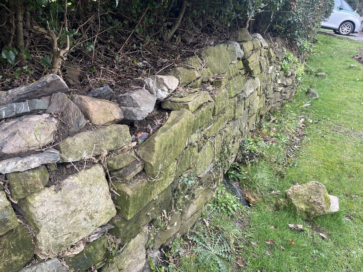 The old stone wall, collapsed in places, before the rebuild