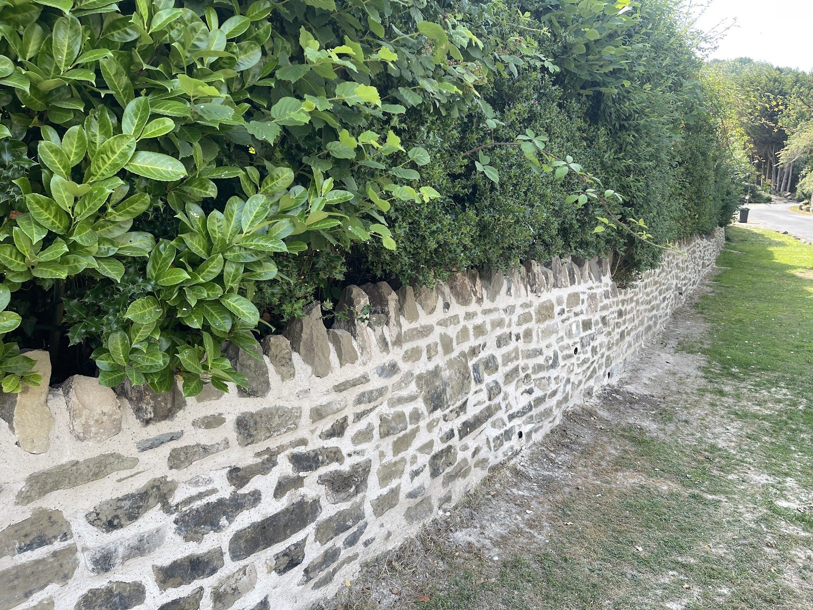 The repaired wall running along the verge