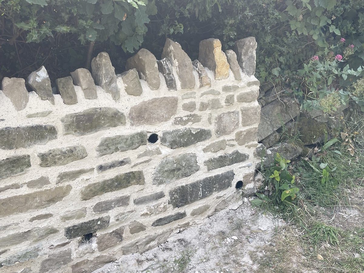 Close-up of the repaired wall and its relaid cock and hen coping