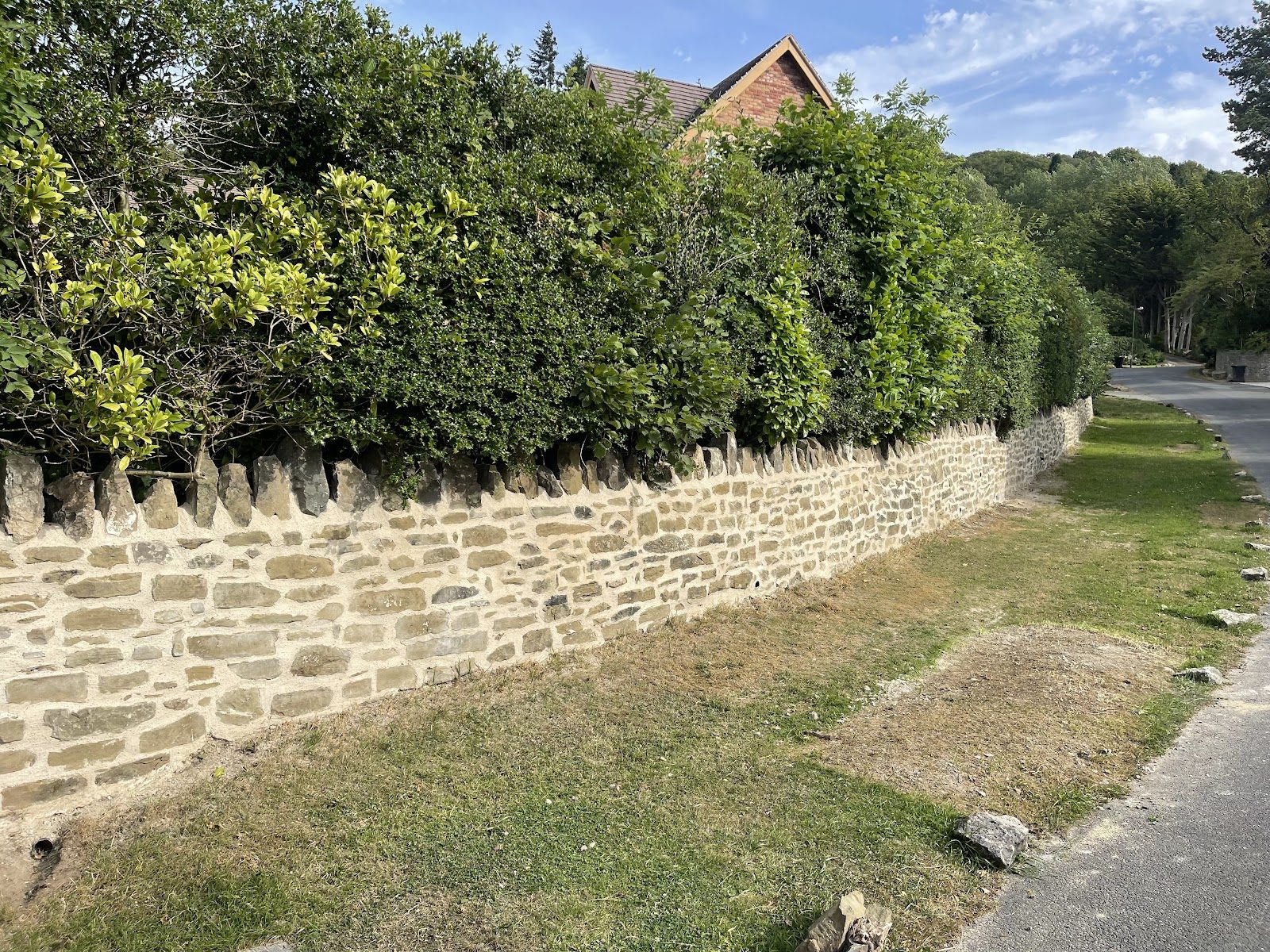 The finished 40 metre stone wall running along the roadside, with its cock and hen coping relaid
